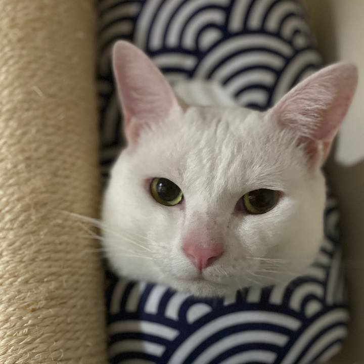 C3875021 aeeb 4bdf af38 66d62cdacc5a 1708703908227