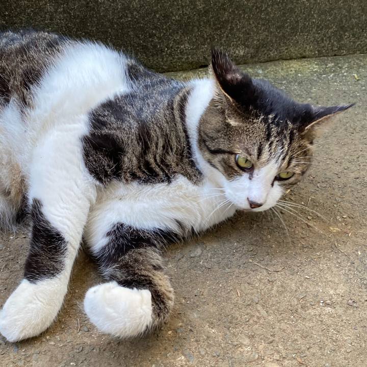 C3879851 b91c 4044 944f 5dbbcda89891 1597648034637