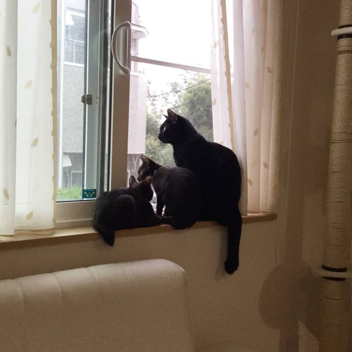 C387c1e7 b540 4bc3 852c 88908bcc13eb 1522042255059