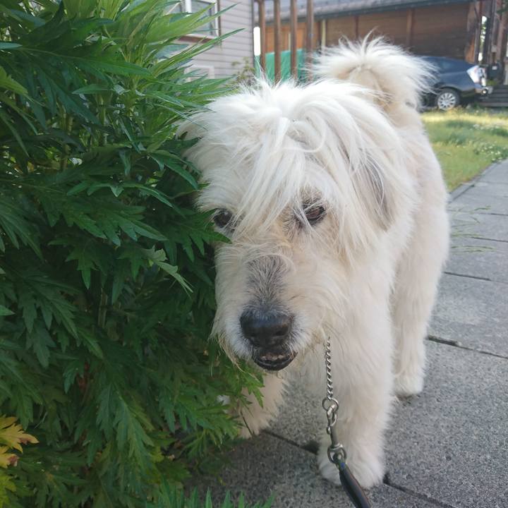 C387e85b 040b 4cf4 9597 2d0dc9e3dd0a 1591176451127