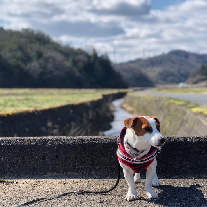 C387f033 3055 4343 8494 bfd5c17f216f 1552014287365