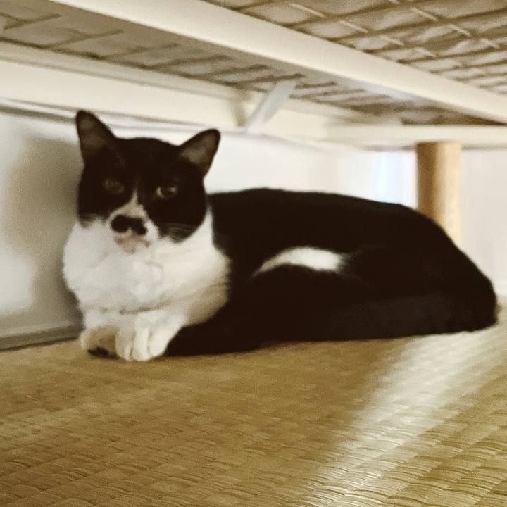 C3885847 b665 4993 bc88 f40d94651fde 1653744773594