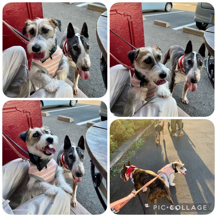 C3887c70 862c 4f0b 80a5 51dba56a04c0 1626521793991