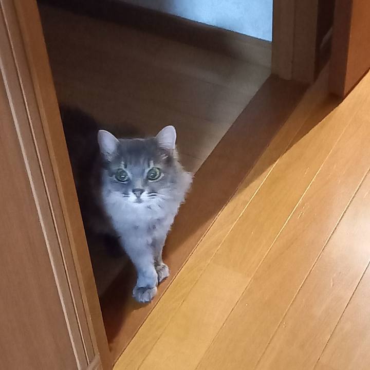 C3889653 7887 4aa6 bd4a 77ea31180514 1659092741247