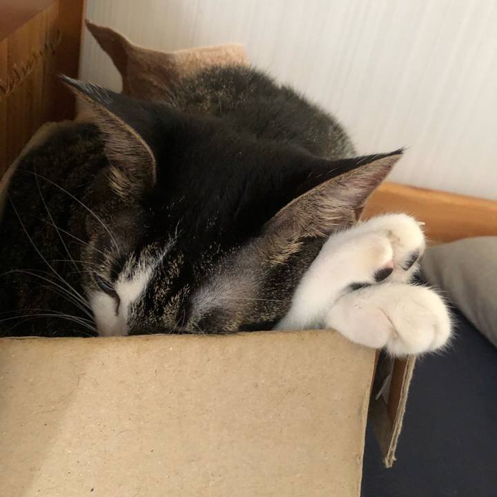 C388981b 2128 4c9f b7a0 28bd2039b7ab 1536160892485