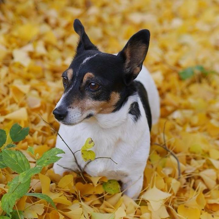 C388f81b 5e51 44ab 8e86 16be129ba85b 1732338519333