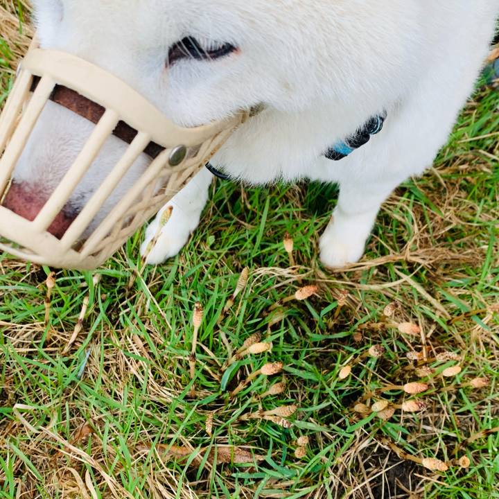 C389326a 343e 4d8c b4ea 2e143d8f82b9 1681856997760