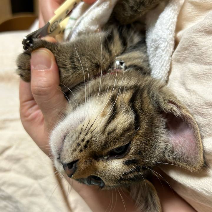 C389335f 277e 4fb9 83c1 33c9dbeb4e32 1727951488149