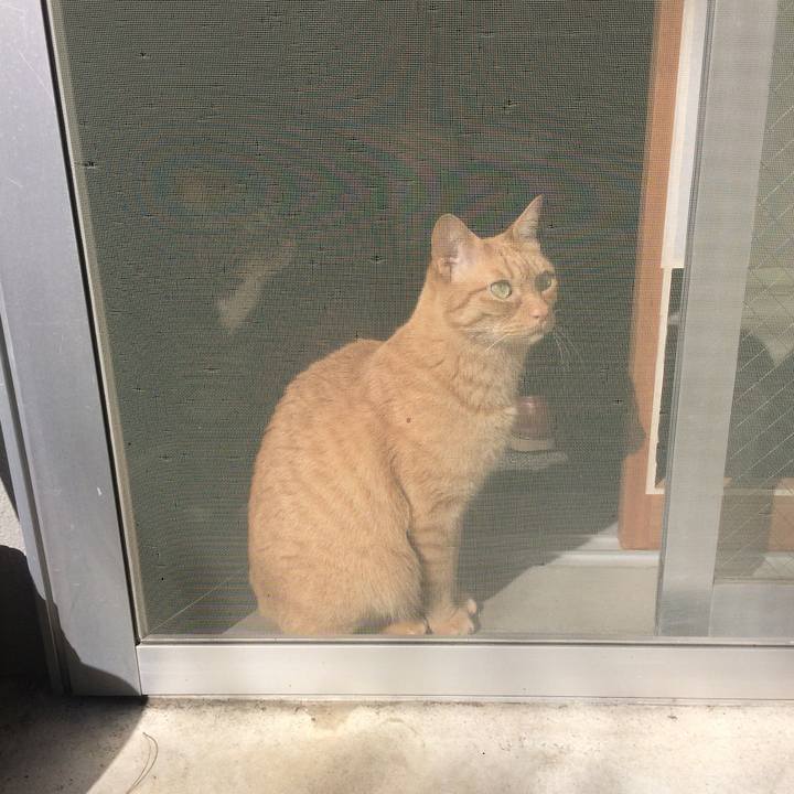 C3894a5e 419d 4f9a a60b b64107a9b549 1584232075316