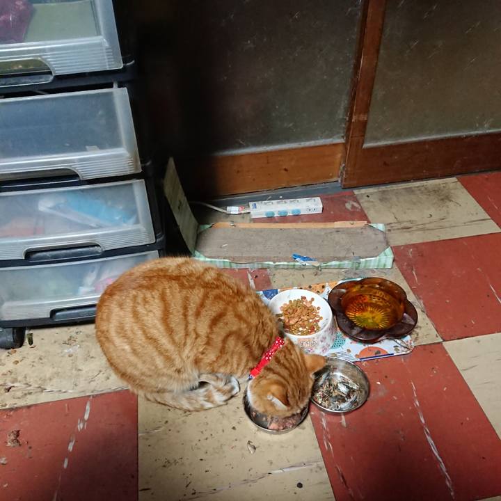 C38954be 4e04 4643 b41d adbbcd747b51 1577909300415