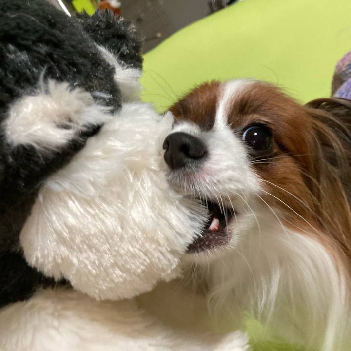 C3895d74 d4fc 444c b77d 970002ba9f27 1641802141669