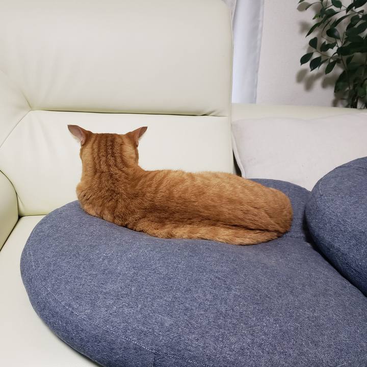 C3899f74 111a 46c7 b86e f9845277e8b8 1721348483405