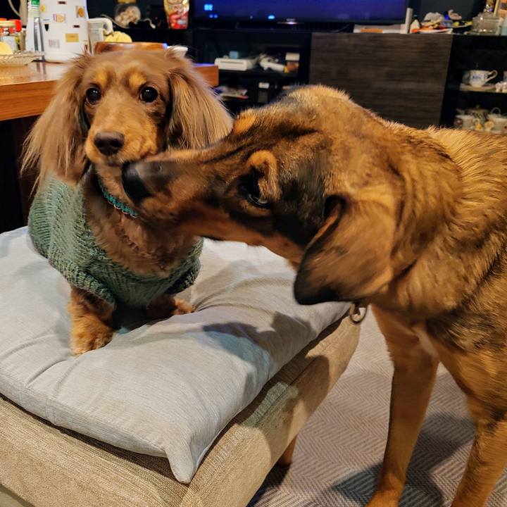 C389ba41 3068 41d8 b4a8 8a1d37ac6abb 1738146684815