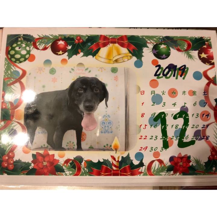 C389e61c a2a4 43cb b1b5 c6cbd80637ee 1576319950477