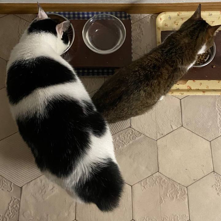 C389ef74 7915 481e b744 d4e8e905066c 1578307868799