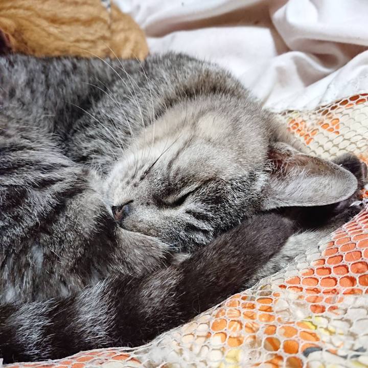 C389f2d3 f35a 4b96 b805 2f77a701155a 1606131930050