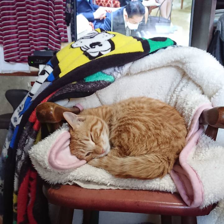 C389f755 760b 4342 8a62 0fa846b4c294 1646197122730