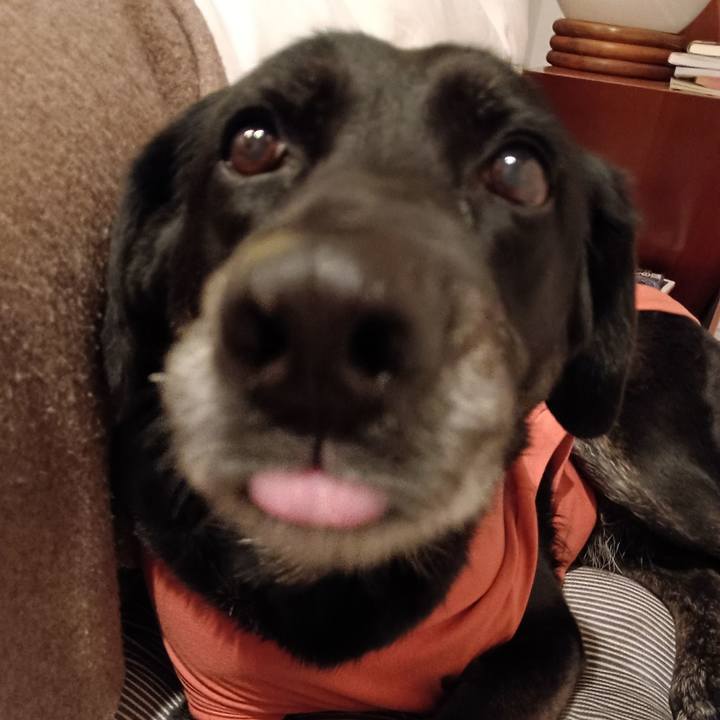 C38a3673 c91d 4db5 af6b 740fb3c857fd 1772975176317