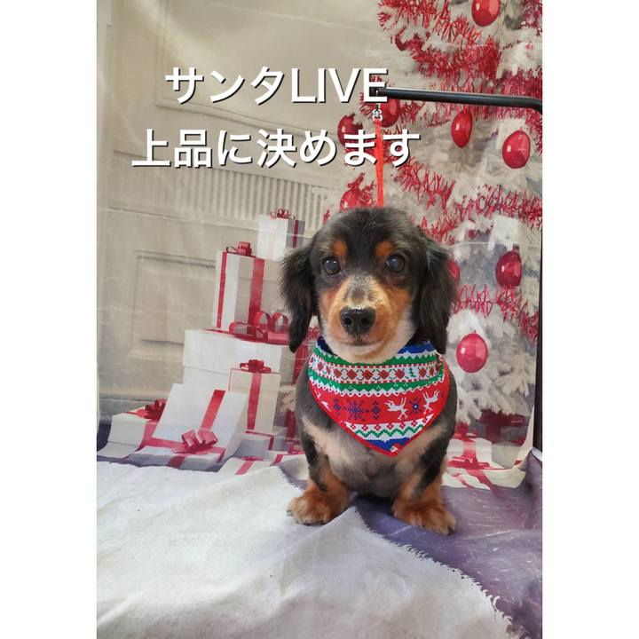 C38a4c33 d247 4cd7 92eb 825fa9ba2ce7 1608332188647