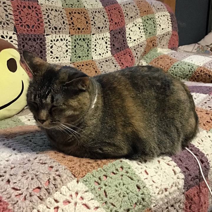 C38a543c c5ba 4653 87cd ab9925f78a84 1720439628547