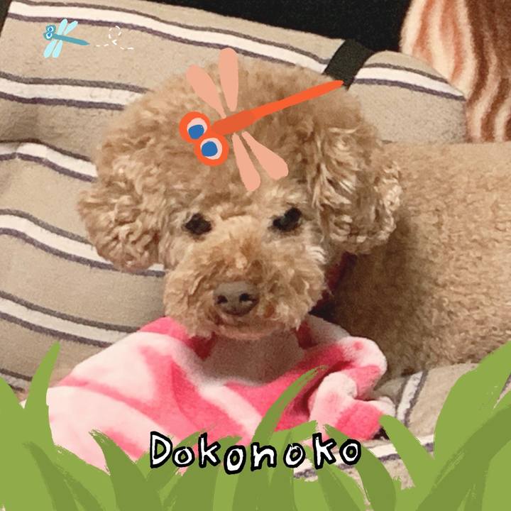 C38a9529 05a5 498c 8966 9a86af1bd5e8 1726809118948