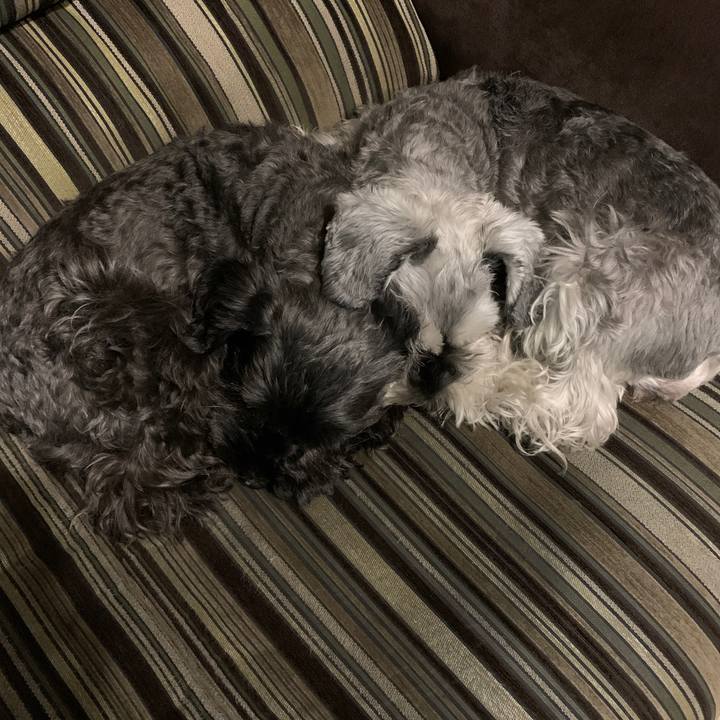 C38a9fa3 949d 4a49 81ac 244749b800e1 1604497640327