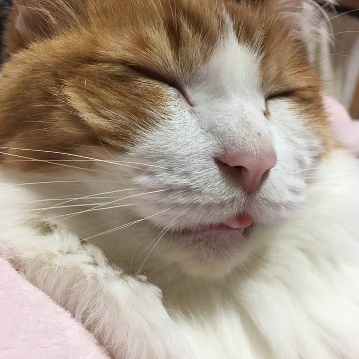 C38ac94d b830 4f77 8afd 487b8dd04fa9 1540994872169