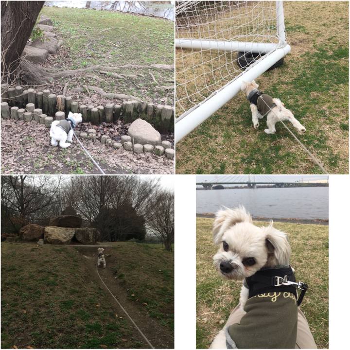 C38af12e b87e 4496 8723 b94f63e0eba7 1521187521934