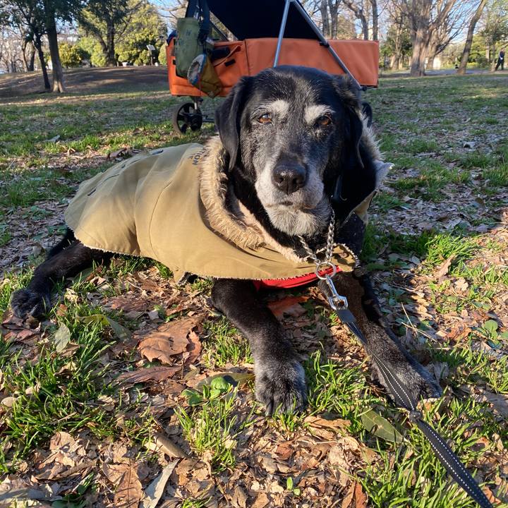 C38b297d c13d 420f b3e3 e7305e3c5945 1742224876471