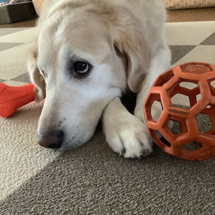 C38b77fa 902b 4054 bd01 ccca862ae459 1605650921793