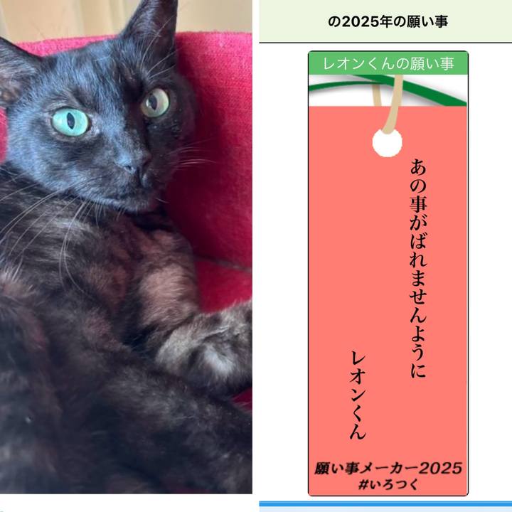 C38b7c78 b852 46b8 aa03 f3d04e5ceb53 1751709185379