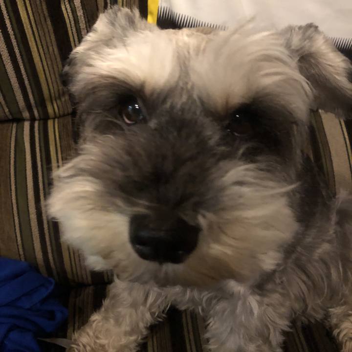 C38b9519 c9c6 4e0e abc1 7287caffc0f5 1559997635898