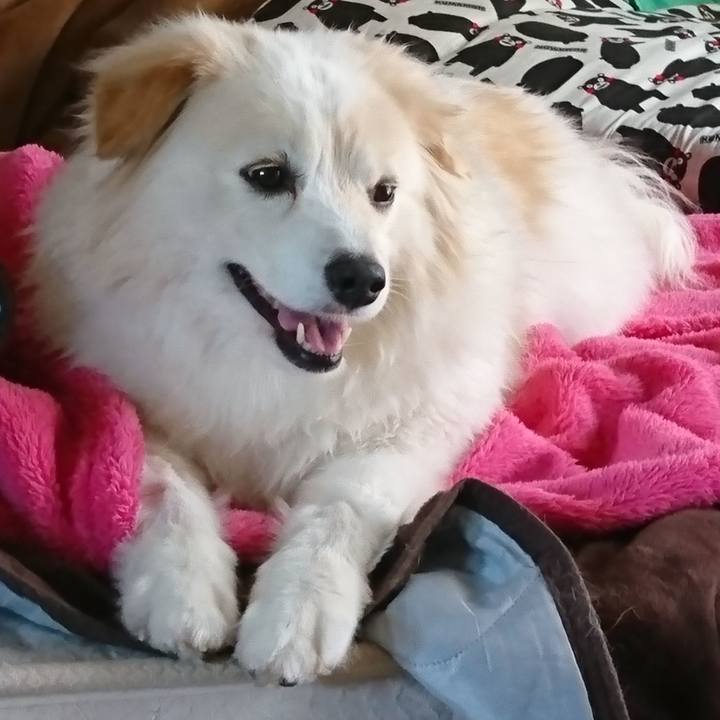 C38bc26c 2944 4787 b74b 120001cc6666 1524980824503