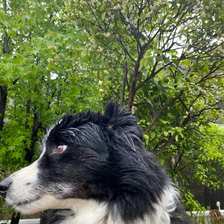 C38bcfe6 ea98 403f a4ff 7218010d1e6d 1620173330959