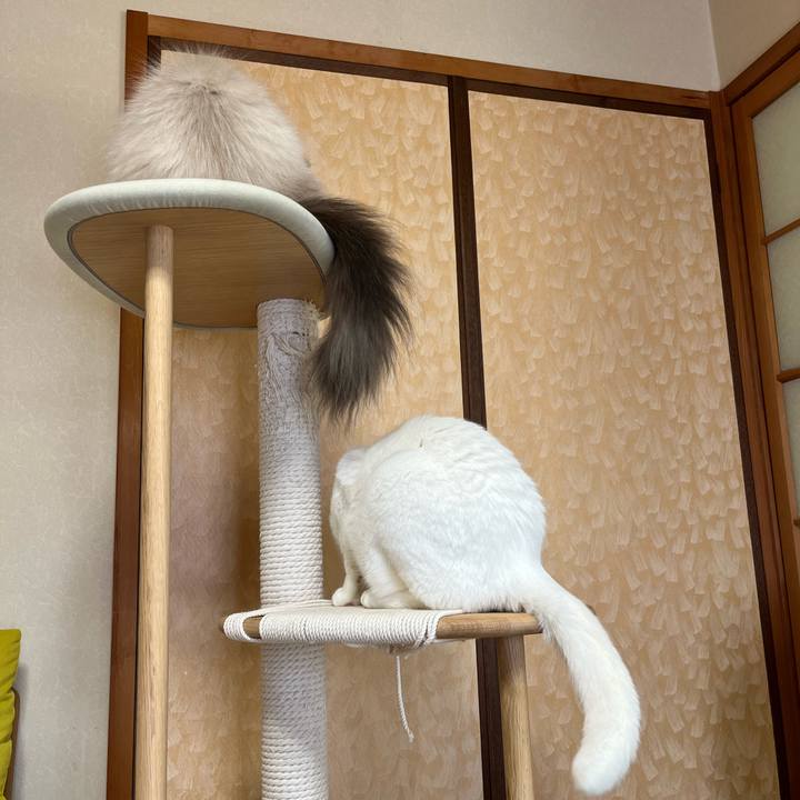 C38bd630 6ef4 4aa2 99d6 3473a7326bf4 1730375440541