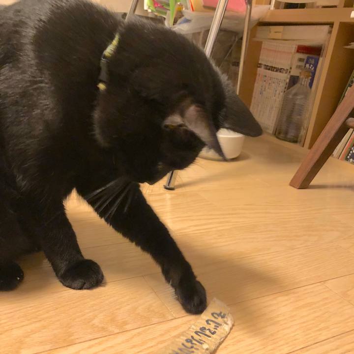 C38be7a9 9506 423b b28d b92ecea7968b 1542205914034