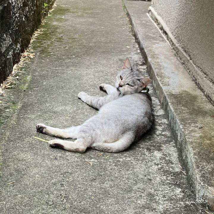 C38c2754 81df 4052 94e1 9999100ce573 1764051550584