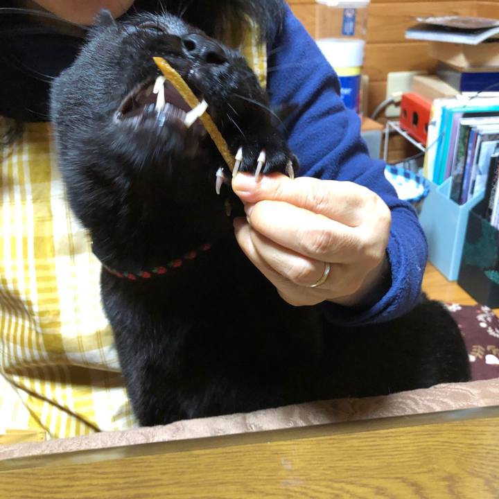 C38c50e9 9c57 4c25 ba6b 977e15ba9259 1547551955171