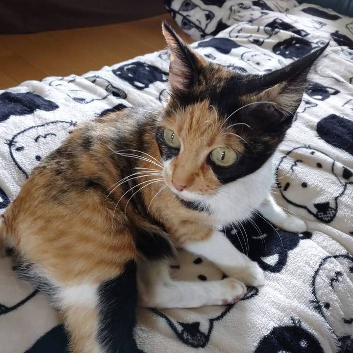 C38c9a59 89c9 45b9 b146 7ed1f6b65dff 1622714173189