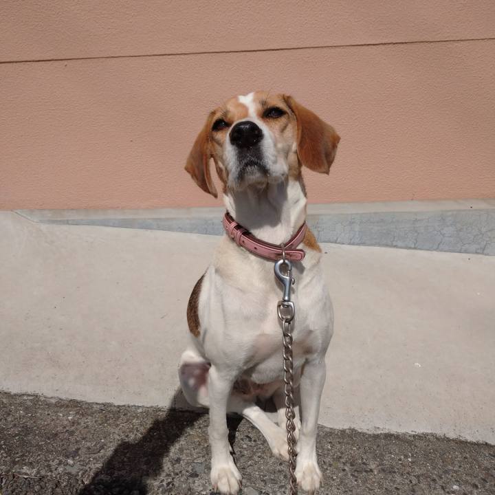 C38cbf10 82f7 4dc5 9aed aced96a21081 1602733144255