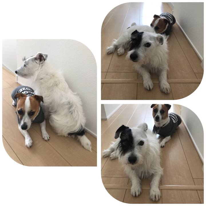 C38cfb8f b9b7 45a6 aeb5 c2121981f661 1530839416356