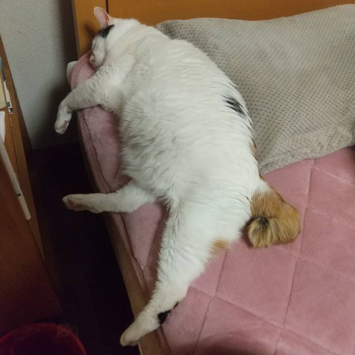 C38d1a78 ac51 462b 8b5a 957d8ed5a363 1644244927016