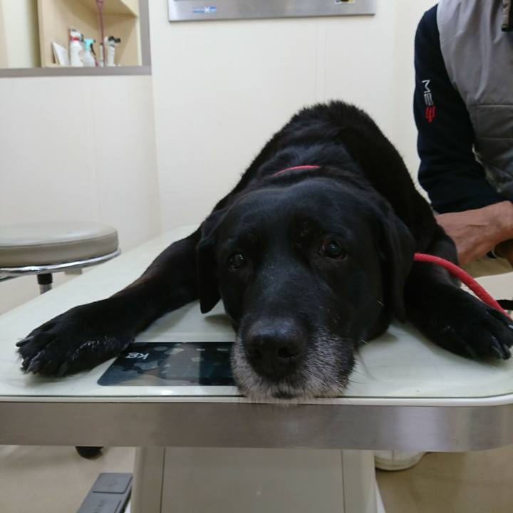 C38d1b76 2038 422c ab14 0072a214049c 1547772623763