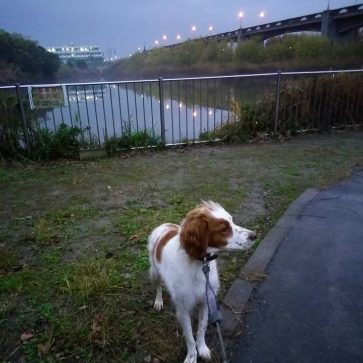 C38d3e9b b261 4932 8eb2 b6a49f2bd0e0 1511944834947