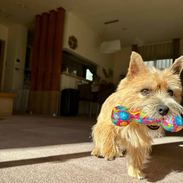 C38d4e6b 61a4 4d72 9ed8 b6fc7d16663a 1736633018027