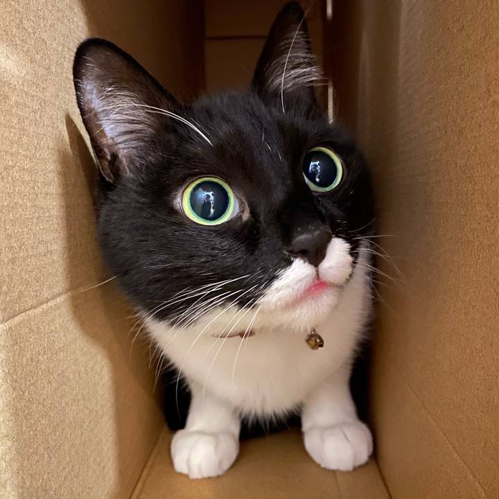 C38d848f cc37 4eea b494 f729b8fc6910 1586230241431