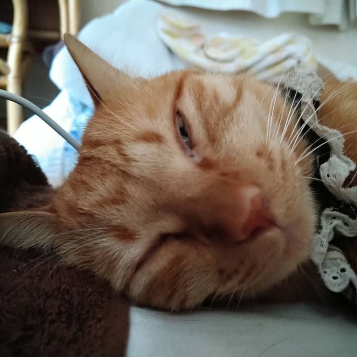 C38d9228 aa98 4416 b061 b4b49e0fd767 1602895595100