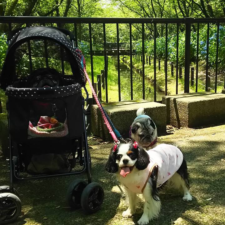 C38dc393 e51c 4a48 b209 0d6d405b9678 1592805694800