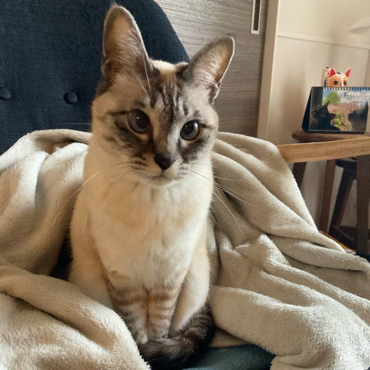 C38e089c ee39 46eb 97b3 52910bb40f63 1647907281159