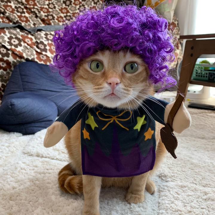 C38e2eb3 231a 45db a342 90b59268e5da 1570191330811